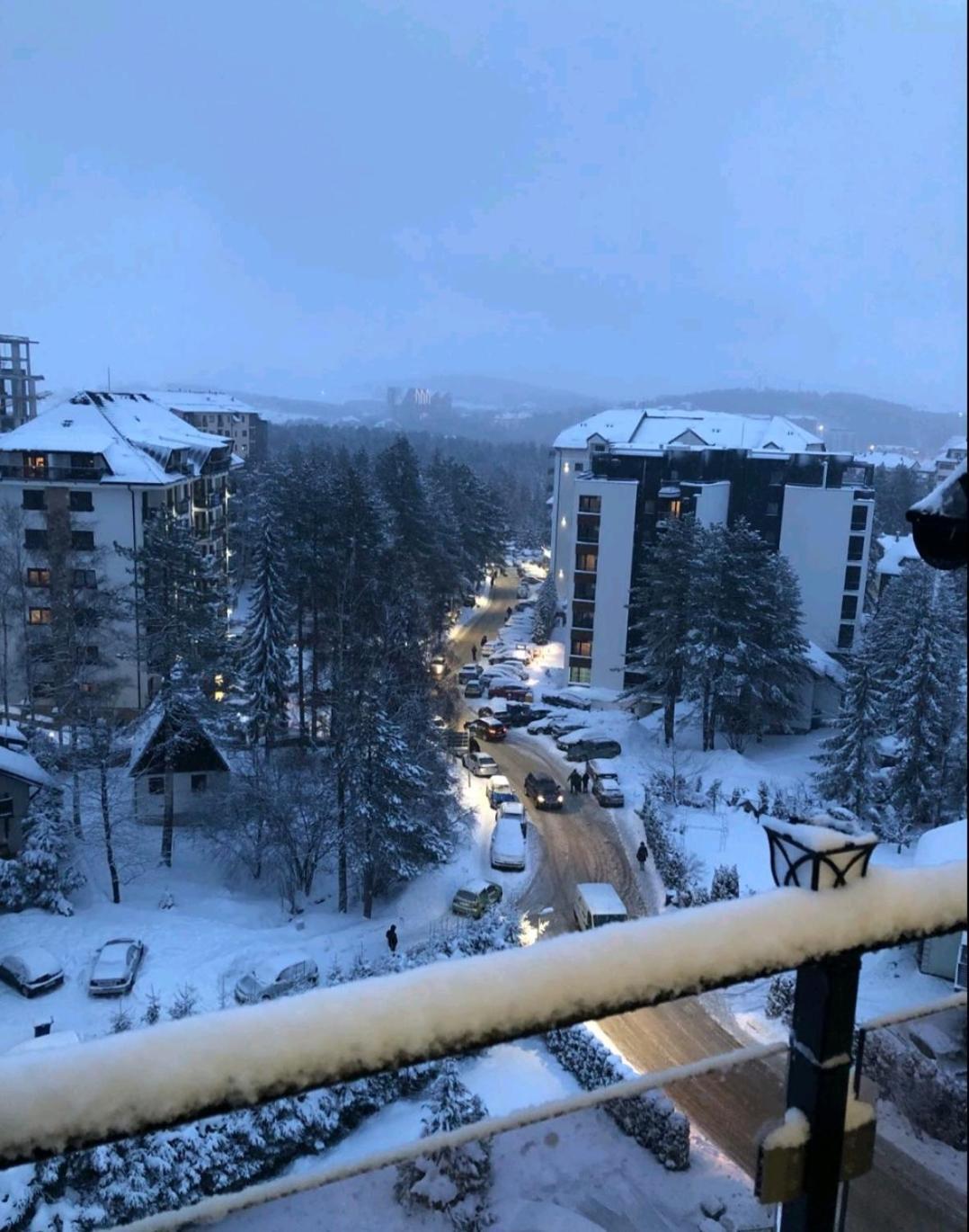 Altavista Zlatibor